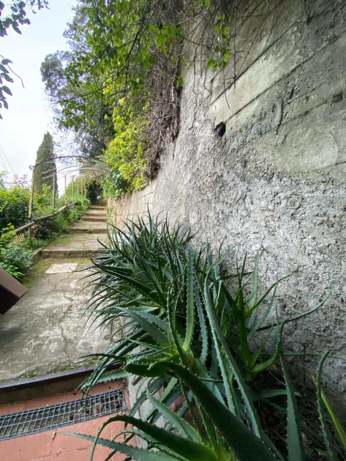 Bed and Breakfast Caligo La Spezia Zewnętrze zdjęcie